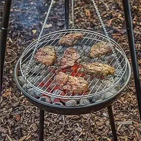 فيلة De Maitre In