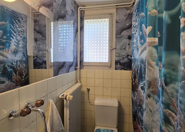 ヴィラ De Maitre In ベルン