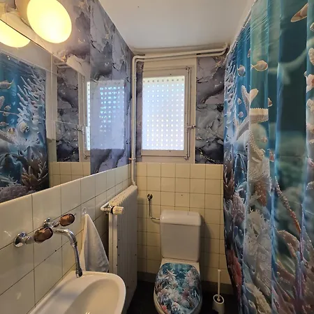 Villa De Maitre In Bern